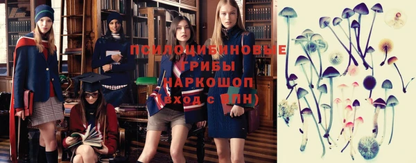 соль ск Гусиноозёрск