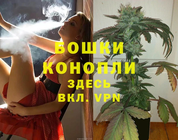 apvp Арсеньев