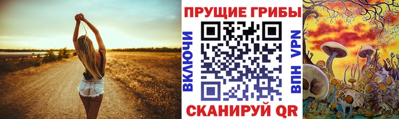 kraken ССЫЛКА  купить наркоту  Сухиничи  это Telegram  Псилоцибиновые грибы Psilocybine cubensis 