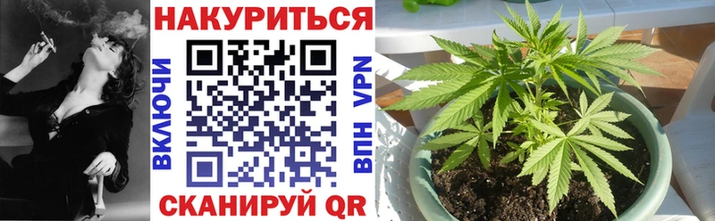 продажа наркотиков  Сухиничи  Бошки марихуана сатива 